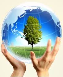 Nghị quyết về một số vấn đề cấp bách trong bảo vệ môi trường